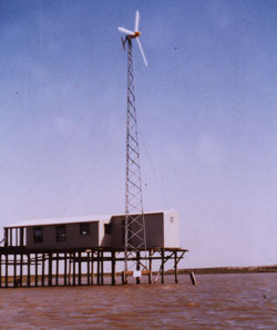 Galveston_310x1000b